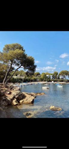 SUPERBE 2P MEZZANINE AU COEUR DU VIEIL ANTIBES photo 6