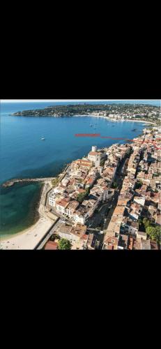 SUPERBE 2P MEZZANINE AU COEUR DU VIEIL ANTIBES photo 12