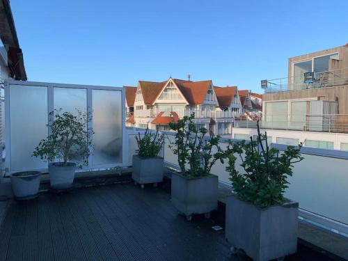 eine Gruppe Topfpflanzen auf einem Balkon in der Unterkunft Beautiful Sunny Penthouse (near Place Albert) in Knokke-Heist