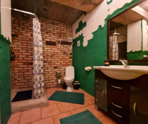 a green bathroom with a toilet and a sink at Adutiškio pirtis in Švenčionys