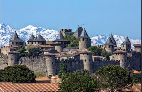 Appartement Cité Médiévale Carcassonne