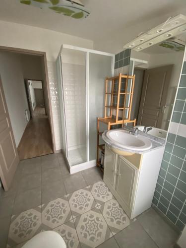 une salle de bain avec un lavabo et une douche dans l'établissement Appartement Cité Médiévale Carcassonne, à Carcassonne