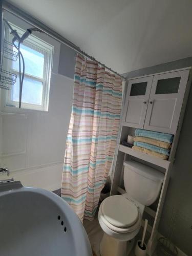 a bathroom with a toilet and a shower curtain at Spacious One Bedroom Apartment in Soulard