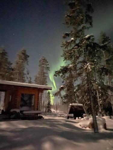 een boom en een huis in de sneeuw naast een boom bij Wilderness Cabin Onnela in Rovaniemi