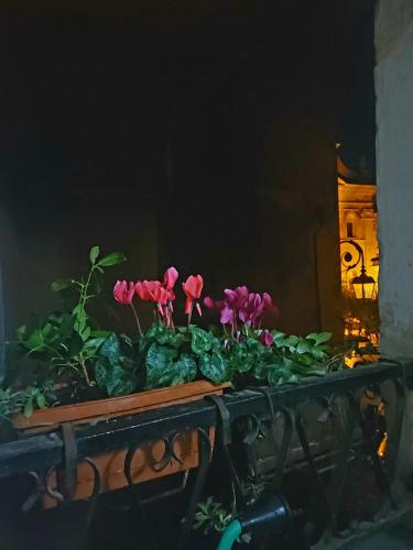 Κήπος έξω από το Rimembranza Appartamento, Anagni