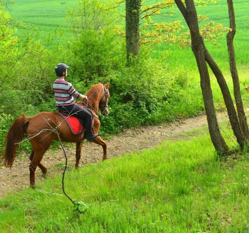 a man riding a horse down a dirt road at Chambres Senonches centre-ville in Senonches