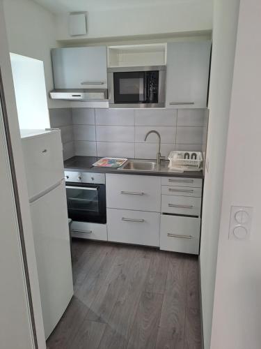 une petite cuisine avec un évier et un micro-ondes dans l'établissement STUDIO CENTRE HISTORIQUE, à Vizille