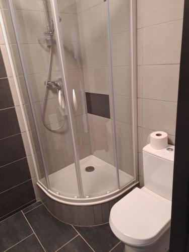 une salle de bain avec douche et toilettes dans l'établissement STUDIO CENTRE HISTORIQUE, à Vizille