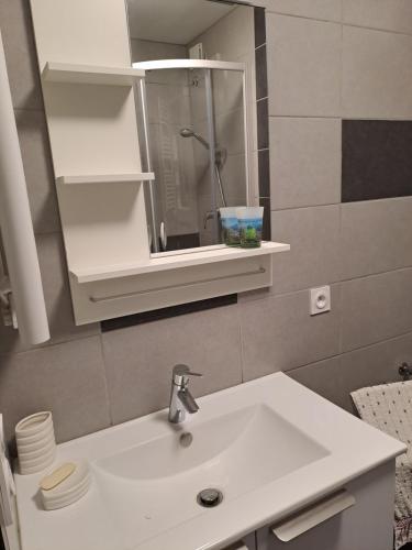 une salle de bain avec un lavabo et un miroir dans l'établissement STUDIO CENTRE HISTORIQUE, à Vizille
