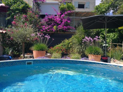 - une piscine avec un parasol et quelques plantes dans l'établissement LA VIGNERONNE DE GIGEAN, à Gigean