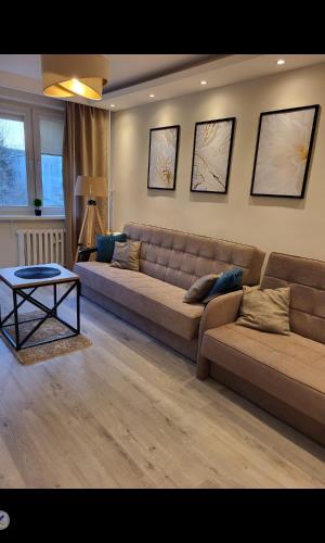 sala de estar con sofá grande y mesa en Apartament Przemyślany, en Przemyśl