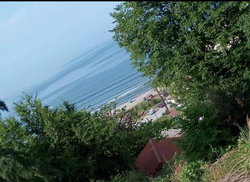 a view of a beach with trees and the ocean at Apartments Anyfantis in Stómion