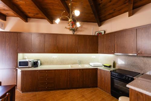 a large kitchen with wooden cabinets and a microwave at Stone House in Astérion
