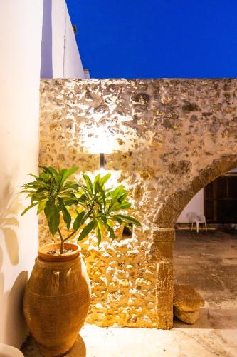 a plant in a pot next to a stone wall at Stone House in Astérion