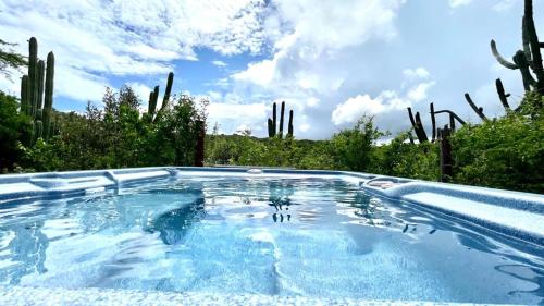 a swimming pool in a yard with cactus at Very quiet apartment with lots of privacy and a tub on the edge of a national park! in Savaneta