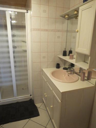 une salle de bain avec un lavabo et une douche dans l'établissement Chalet Gypaète, à La Clusaz
