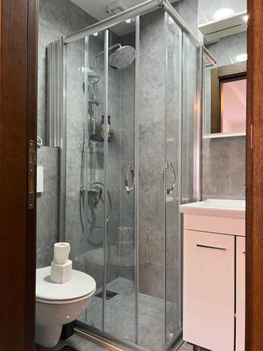 uma casa de banho com um chuveiro, um WC e um lavatório. em Penthouse Centar em Novi Pazar