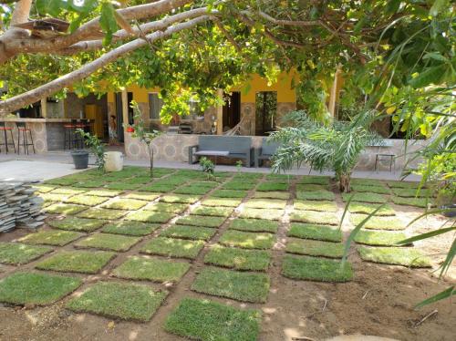 un jardin avec pelouse, banc et arbre dans l'établissement Casa caju, à Santa Cruz Cabrália