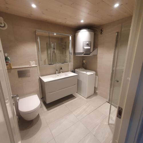 a bathroom with a toilet and a sink and a shower at Brekkveien 81-meget sentral hytte,15 min å gå til Røros sentrum in Røros