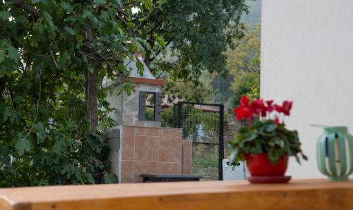Zahrada ubytování Casa de Pozar