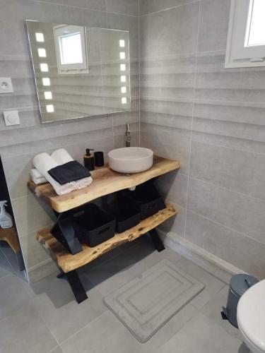 a bathroom with a sink and a mirror at AJC Ô Spa in Saulzoir