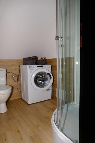 a washing machine in a bathroom with a shower at Mini apartmán v Jizerských horách in Jablonec nad Nisou