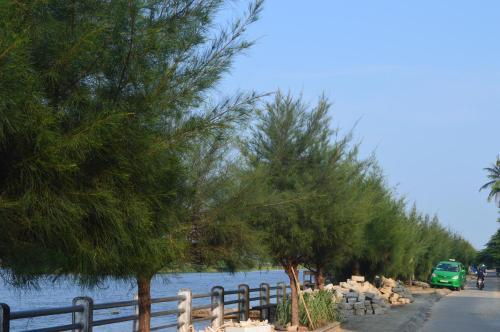 a road next to a fence with trees and water at Villa Orchid Garden Riverside Hoi An in Hoi An