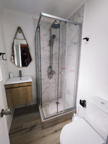 a bathroom with a shower with a toilet and a sink at Departamento en Cocholgüe Tomé Concepción in Tomé