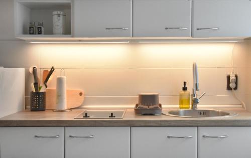 a kitchen with a sink and a counter top at Pannonian sailor in Novi Sad