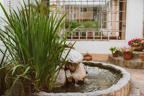 a pond in the middle of a yard with plants at Hotel Francia in Tandil