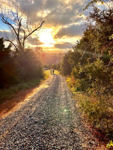 a group of people riding bikes down a dirt road at Heartstone Country Retreat in Buena Vista