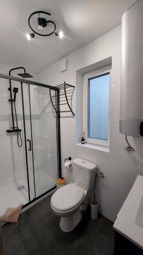 a bathroom with a toilet and a shower at Spokojny zakątek in Ustroń
