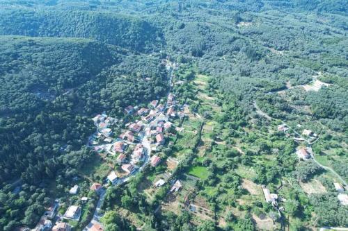 Φωτογραφία από το άλμπουμ του Harry's Retreat σε Klimatiá
