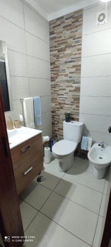 a bathroom with a toilet and a sink at Apartamento Fazunchar in Figueiró dos Vinhos