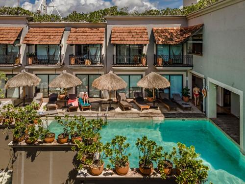 an image of a hotel with a swimming pool at Caribbean Paradise Hotel Boutique & Spa by Paradise Hotels - 5th Av Playa del Carmen in Playa del Carmen