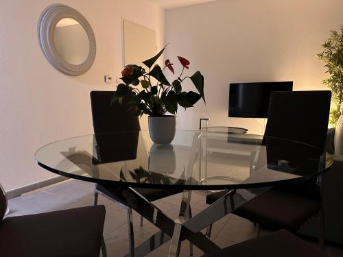 Appartement T2 proche d'Airbus et centre ville de Toulouse