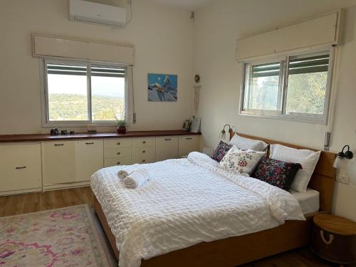 a bedroom with a large bed and two windows at In the center of the Moshava in Zikhron Ya'akov