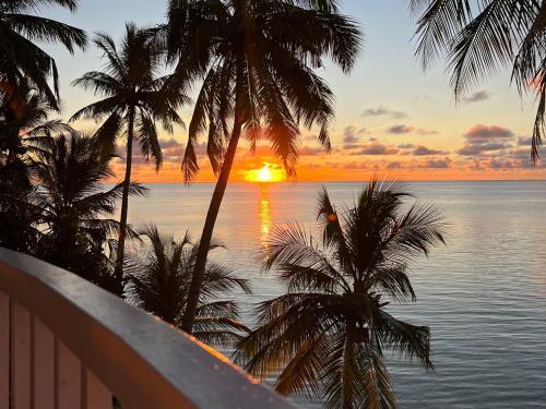 un tramonto sull'acqua con palme e l'oceano di Heron Beach Hotel - The Best Maldivian Getaway in Dhiffushi,Maldives a Dhiffushi