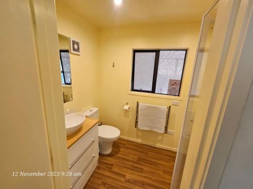 baño con lavabo y aseo y ventana en Country Cottage Rotorua en Whakatahuri