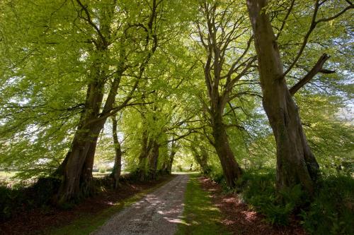 Gîte des Fougères – Photos 2