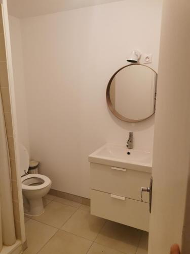 un bagno con un water e uno specchio sul muro di Maison de village a Ventenac-Cabardès