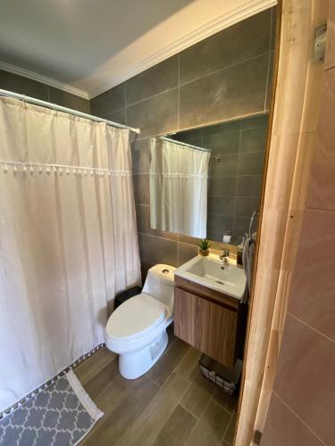 a bathroom with a toilet and a sink at Refugio del bosque in Futrono