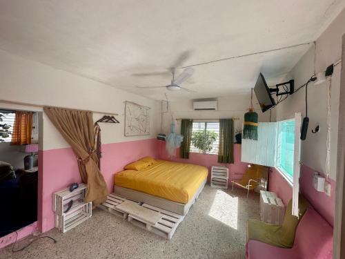 a bedroom with a bed and a pink wall at NooK in Sisal