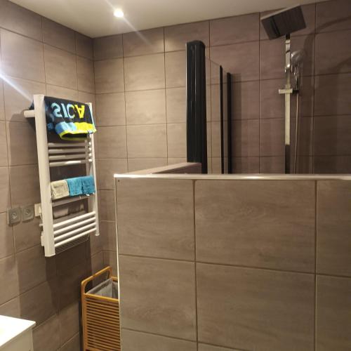 La salle de bains est pourvue d'une douche et d'un sèche-serviettes. dans l'établissement Loft entier, calme, fibre et wifi, à Saint-Quentin