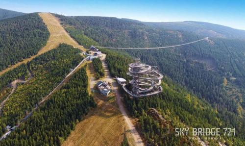 an aerial view of a building in the middle of a forest at Chalupa Šanov u Králík in Červená Voda