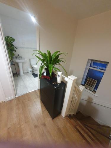 a bathroom with a plant on top of a trash can at Double size and Single room in Barking in Barking