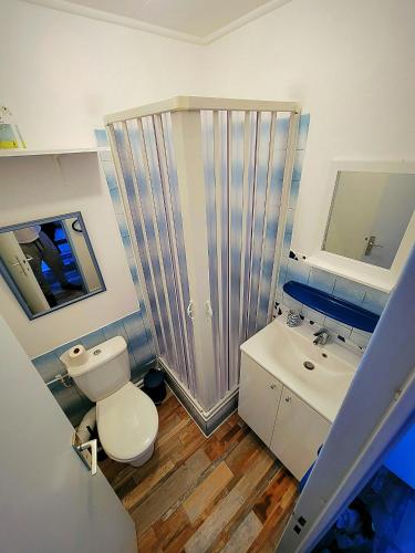 a bathroom with a toilet and a sink at Studio vacances proche de la mer in Le Grau-du-Roi