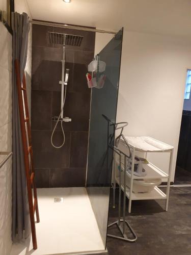 une douche avec une porte vitrée à côté des toilettes dans l'établissement Les Lunetiers, à Champagnole