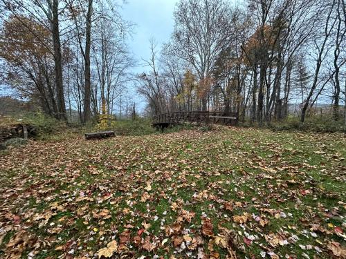 a park with a bench and a pile of leaves at Escape to a Streamside Cabin in the Lower Catskills in Wurtsboro