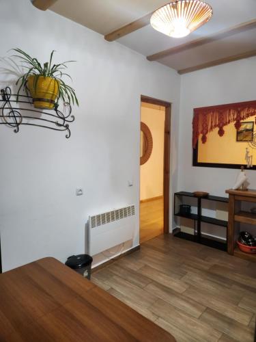 ein Wohnzimmer mit einem Tisch und einer Pflanze an der Wand in der Unterkunft Sanli in Mestia